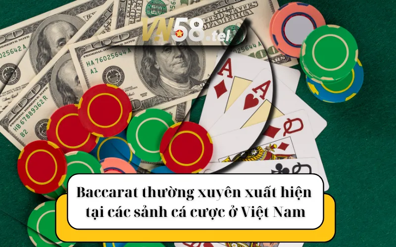 Baccarat thường xuyên xuất hiện tại các sảnh cá cược ở Việt Nam