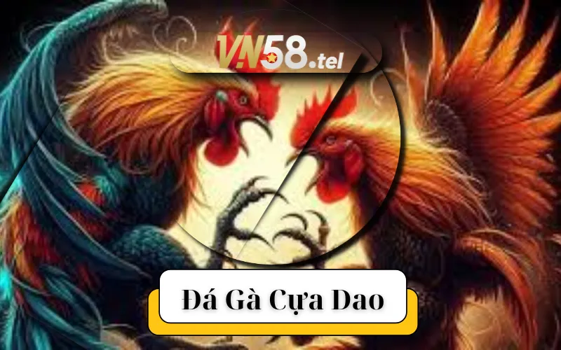 Đá Gà Cựa Dao