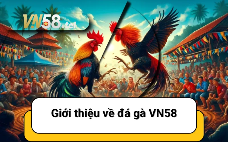 Giới thiệu về đá gà VN58