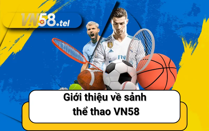 Giới thiệu về sảnh thể thao VN58.