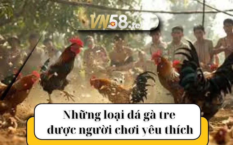 Những loại đá gà tre được người chơi yêu thích